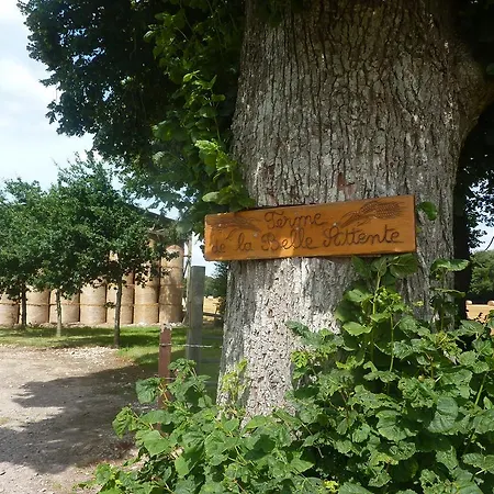 De La Belle Attente * Marques